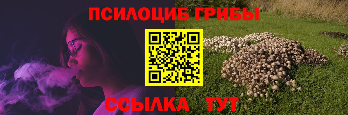 Псилоцибиновые грибы мухоморы Зеленокумск