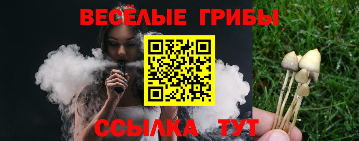 Галлюциногенные грибы прущие грибы  как найти закладки  Галлюциногенные грибы прущие грибы  Зеленокумск  Вход с VPN 