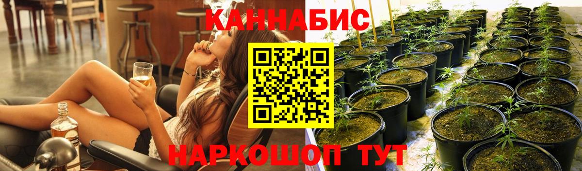 Конопля Ganja Зеленокумск